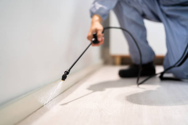 Licensed Pest Control service in Brockton, MA - Show Me Pest Control